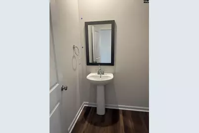 578 Swamp Grass Drive, Columbia, SC 29209 - Photo 6