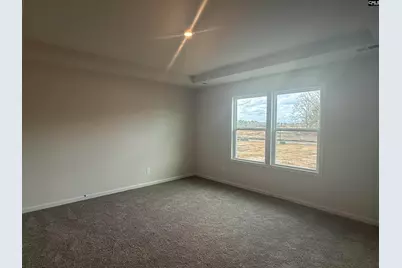 578 Swamp Grass Drive, Columbia, SC 29209 - Photo 24