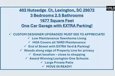 403 Nutsedge Court, Lexington, SC 29072 - Photo 2