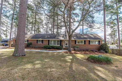 13 East Drive, Chapin, SC 29036 - Photo 2