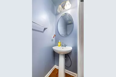 219 Luna Trail, Lexington, SC 29072 - Photo 16