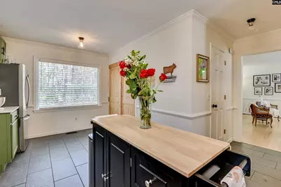 109 E Sparrowood Run, Lexington, SC 29072 - Photo 10