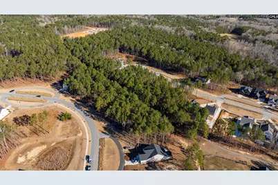 Lot 119 Stewart Landing Drive #119, Prosperity, SC 29127 - Photo 6