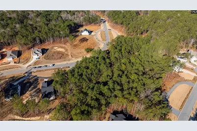 Lot 119 Stewart Landing Drive #119, Prosperity, SC 29127 - Photo 8