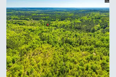 Black River Road, Rembert, SC 29128 - Photo 4