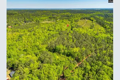 Black River Road, Rembert, SC 29128 - Photo 2