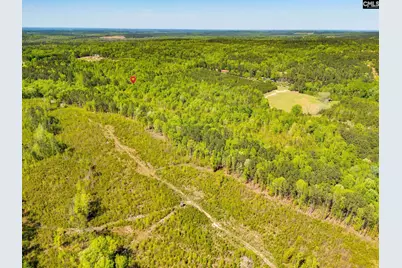 Black River Road, Rembert, SC 29128 - Photo 8