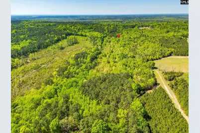 Black River Road, Rembert, SC 29128 - Photo 6