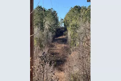 0 Sardis Church Road, Swansea, SC 29160 - Photo 4