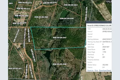 0 Sardis Church Road, Swansea, SC 29160 - Photo 6