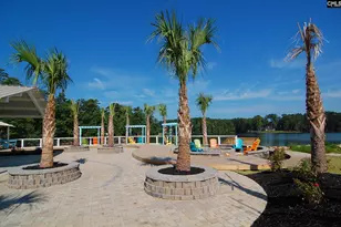 362 Cabana Wy, Lexington, SC 29072 - Photo 66