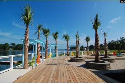 362 Cabana Way, Lexington, SC 29072 - Photo 68