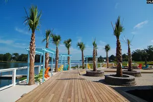 362 Cabana Wy, Lexington, SC 29072 - Photo 68