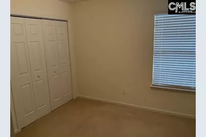 242 Drooping Leaf Lane, Lexington, SC 29072 - Photo 18