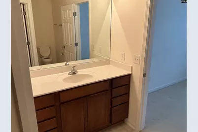 242 Drooping Leaf Lane, Lexington, SC 29072 - Photo 12