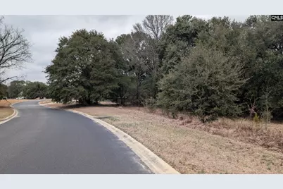 211 Ascot Drive, Camden, SC 29020 - Photo 1