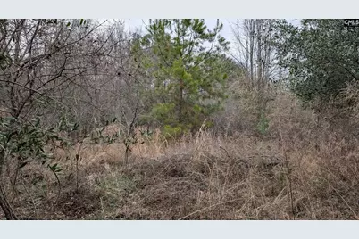 211 Ascot Drive, Camden, SC 29020 - Photo 16