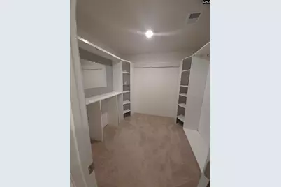 153 Rushton Drive, Chapin, SC 29036 - Photo 10