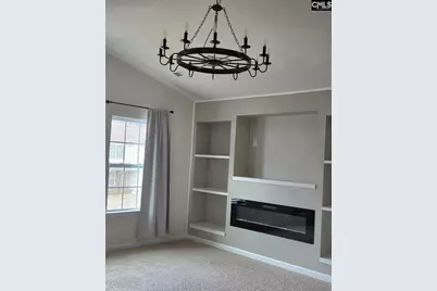 153 Rushton Drive, Chapin, SC 29036 - Photo 8