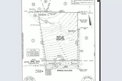 2413 Bermuda Hills Road, Columbia, SC 29223 - Photo 4