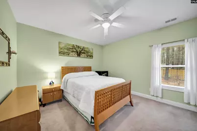 404 Crims Creek Way, Irmo, SC 29063 - Photo 46