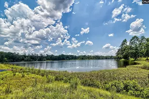 115 Cotton Cordell Rd, Lexington, SC 29072 - Photo 44