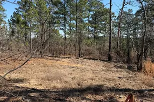 288 Straightaway Ln, Gaston, SC 29053 - Photo 1