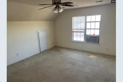 206 Beckworth Lane, Irmo, SC 29063 - Photo 8