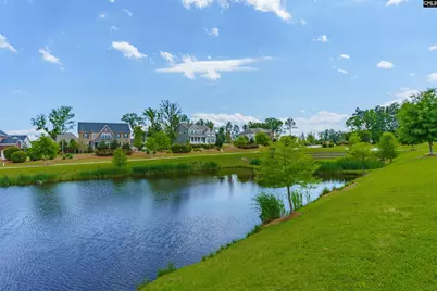 2177 Harvestwood Lane, Chapin, SC 29036 - Photo 52