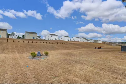 545 Richmond Road, Gaston, SC 29053 - Photo 30