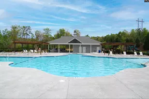 116 Tolbert St, Lexington, SC 29072 - Photo 50