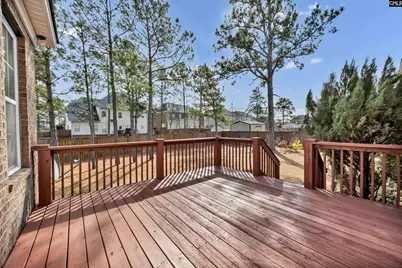 247 Broken Club Lane, Blythewood, SC 29016 - Photo 46