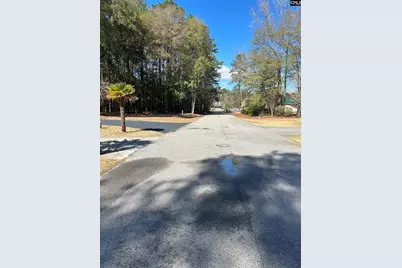 213 Green Dr, Darlington, SC 29532 - Photo 72