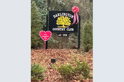 213 Green Dr, Darlington, SC 29532 - Photo 74