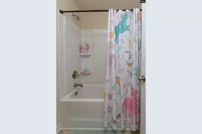 734 Autumn Shiloh Drive, Chapin, SC 29036 - Photo 54