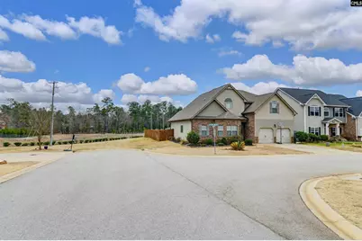 734 Autumn Shiloh Drive, Chapin, SC 29036 - Photo 2