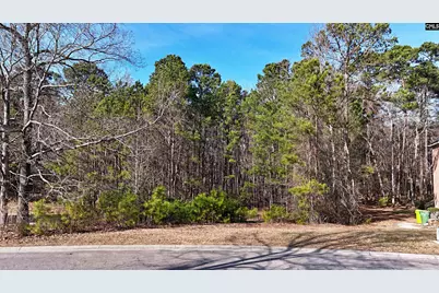 104 Fallen Leaf Drive #43, Columbia, SC 29229 - Photo 2