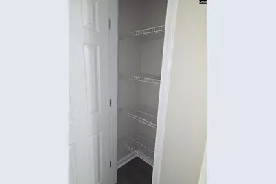 160 Cane Brake Drive, Columbia, SC 29223 - Photo 28