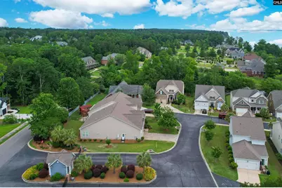 1 Downing Circle, Gilbert, SC 29054 - Photo 50