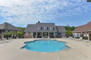 1 Downing Cir, Gilbert, SC 29054 - Photo 46