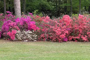 26 Hartford Heights St, Newberry, SC 29108 - Photo 14