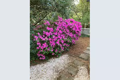 1822 Brevard Place, Camden, SC 29020 - Photo 56