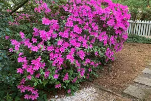 1822 Brevard Pl, Camden, SC 29020 - Photo 56