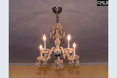 1822 Brevard Place, Camden, SC 29020 - Photo 10