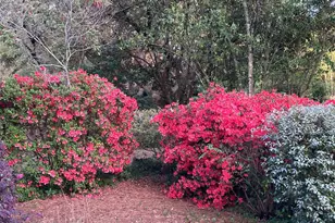 1822 Brevard Pl, Camden, SC 29020 - Photo 54