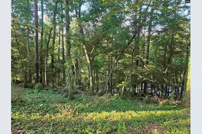 1540 Sewanee Drive, West Columbia, SC 29169 - Photo 10