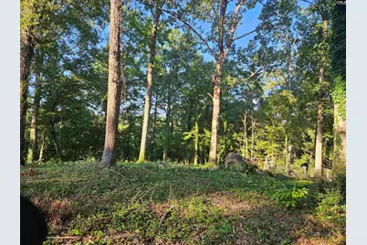 1540 Sewanee Drive, West Columbia, SC 29169 - Photo 8