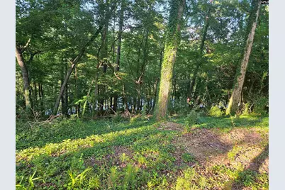 1540 Sewanee Drive, West Columbia, SC 29169 - Photo 12