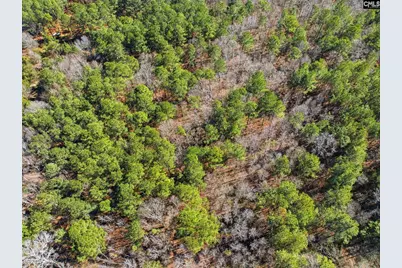 4382 Mt. Pilgrim Church Road, Prosperity, SC 29127 - Photo 24