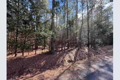 00 Ruby Riser Road #110, Batesburg, SC 29006 - Photo 2